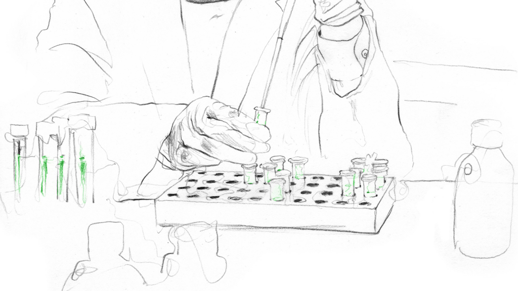 How to grow mammalian cell culture - Evitria