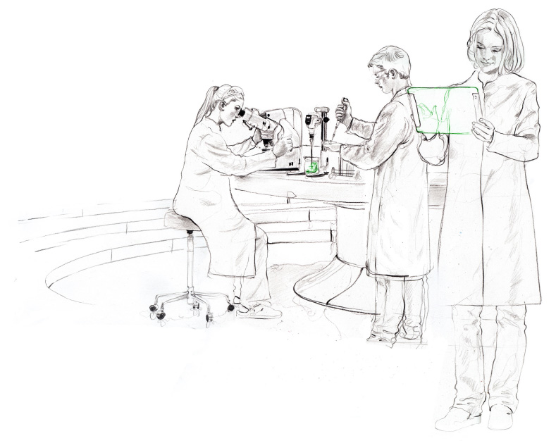 In vitro antibody production services