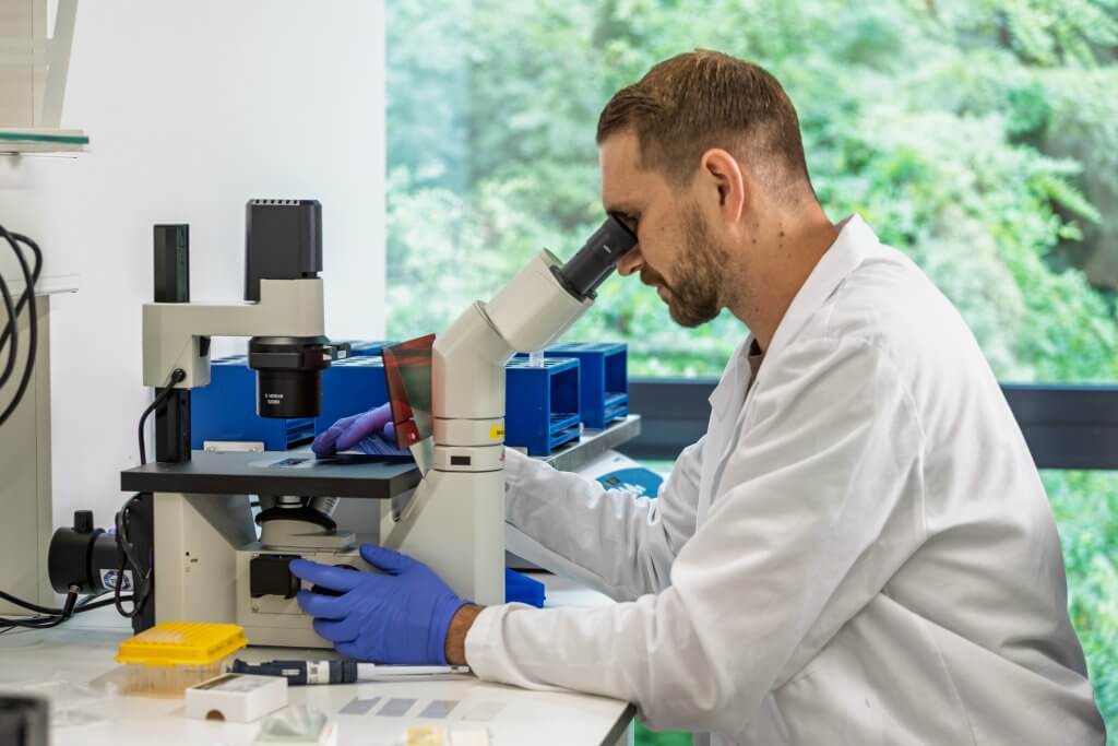 evitria laboratory, Antibody engineering, Zurich