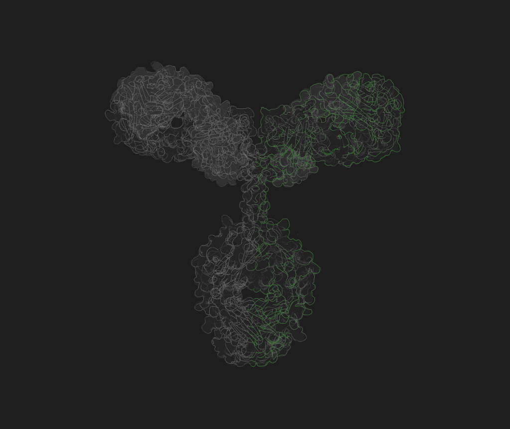Bispecific Antibody Production Service by evitria