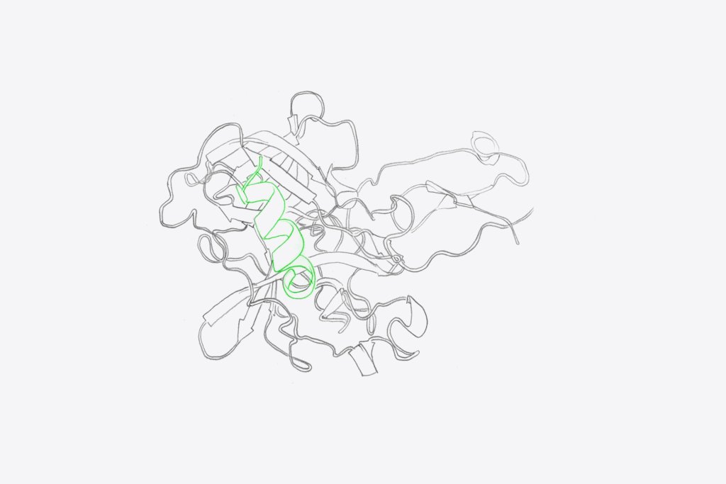 Fusion Antibodies and Other Recombinant Proteins by evitria