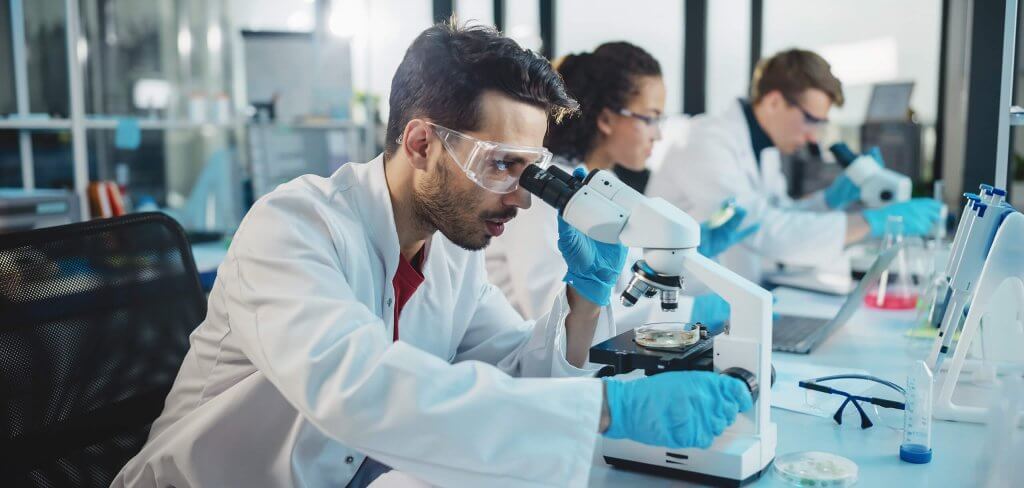 Antibody Production for Academic Research