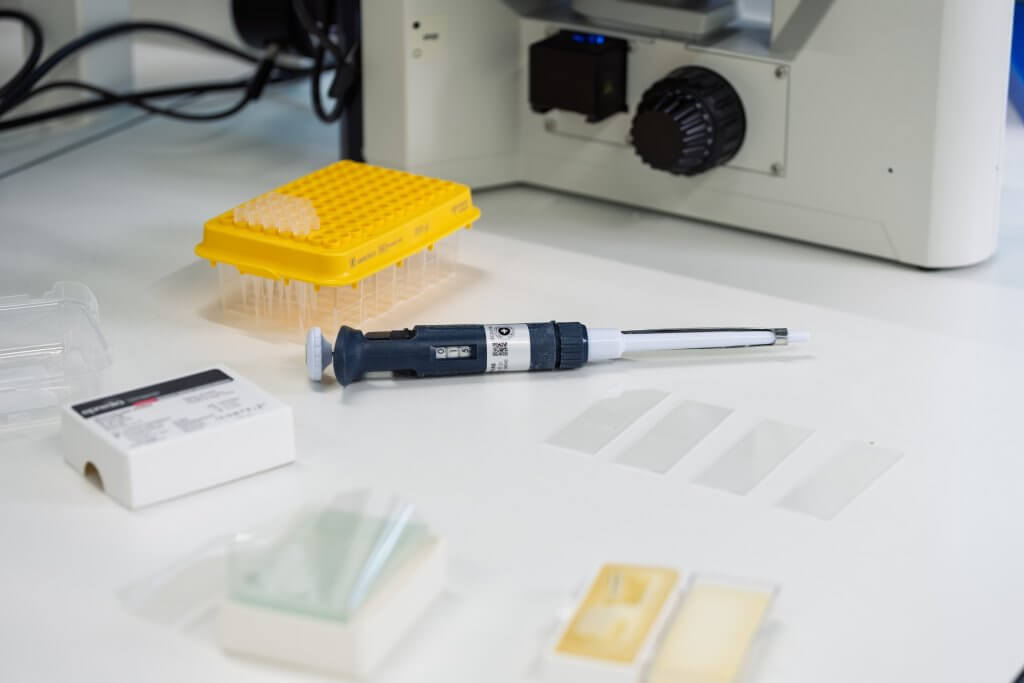 Antibody expression at evitria laboratory