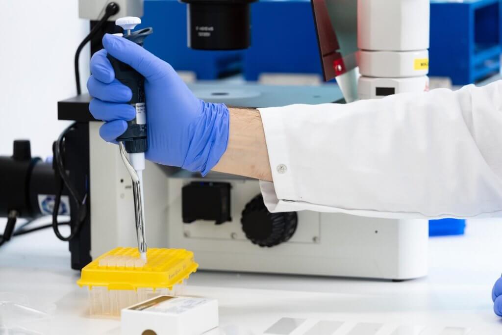 Antibody validation at evitria lab in Zurich