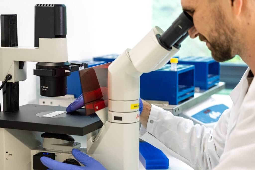Antibody production workflow at evitria laboratory in Zurich