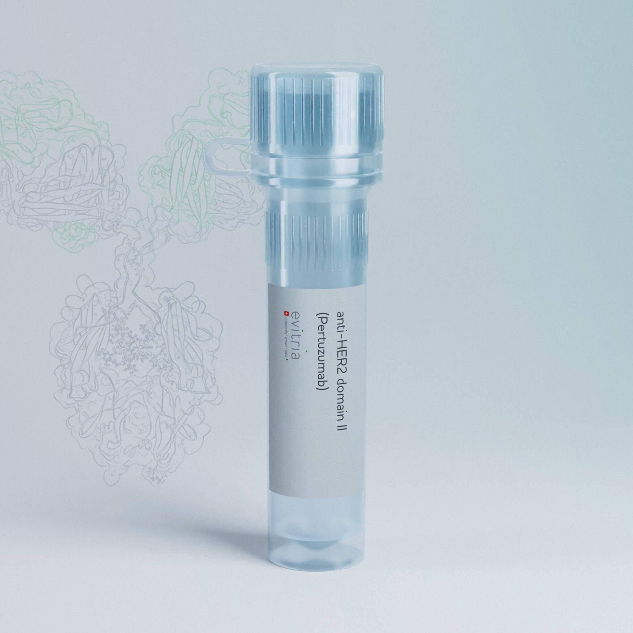 anti-HER2 domain II (Pertuzumab)