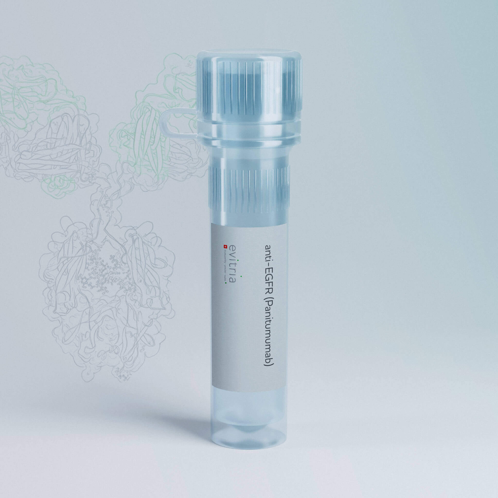 anti-EGFR (Panitumumab)
